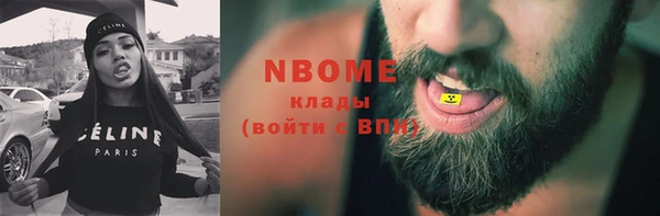 2c-b Инсар