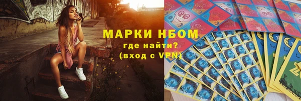 2c-b Инсар
