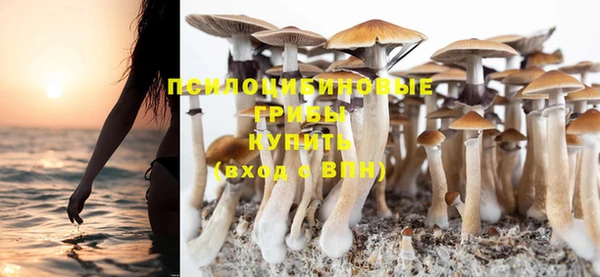 тгк Иннополис
