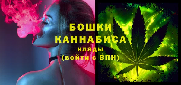 2c-b Инсар