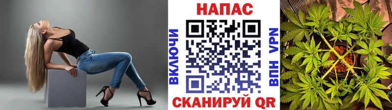 Бошки марихуана Ganja  Козловка 